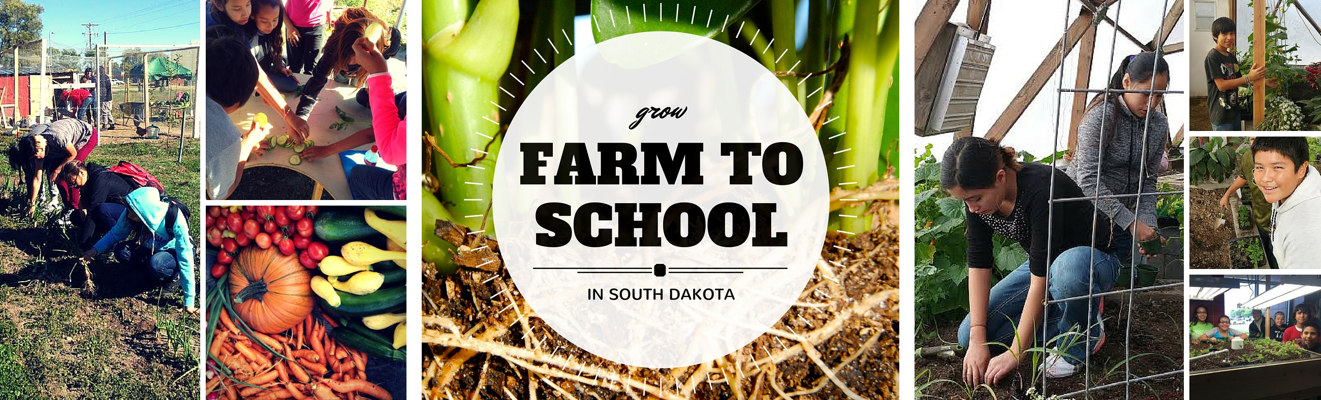 farm-to-school-dakota-rural-action